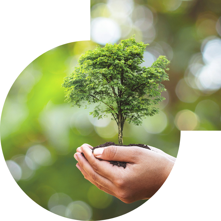 關懷人類、文化、環境與社會